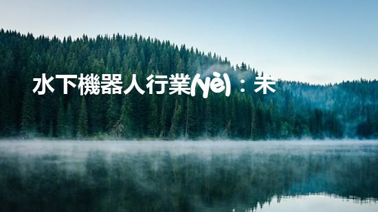 水下機器人行業(yè)：未來的深海探索者，你敢跟隨嗎？